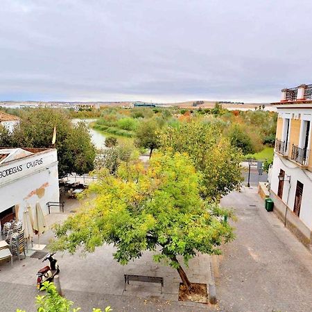 Apartamento Paseo De La Ribera Cordoba Luaran gambar